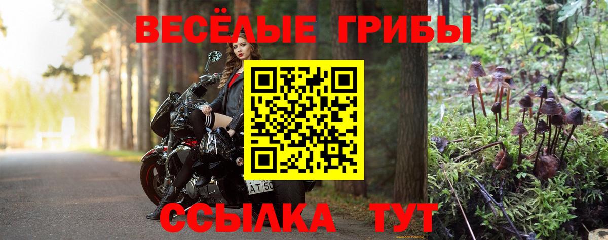 Сланцы  Псилоцибиновые грибы прущие грибы  Псилоцибиновые грибы MAGIC MUSHROOMS  Вход с VPN 