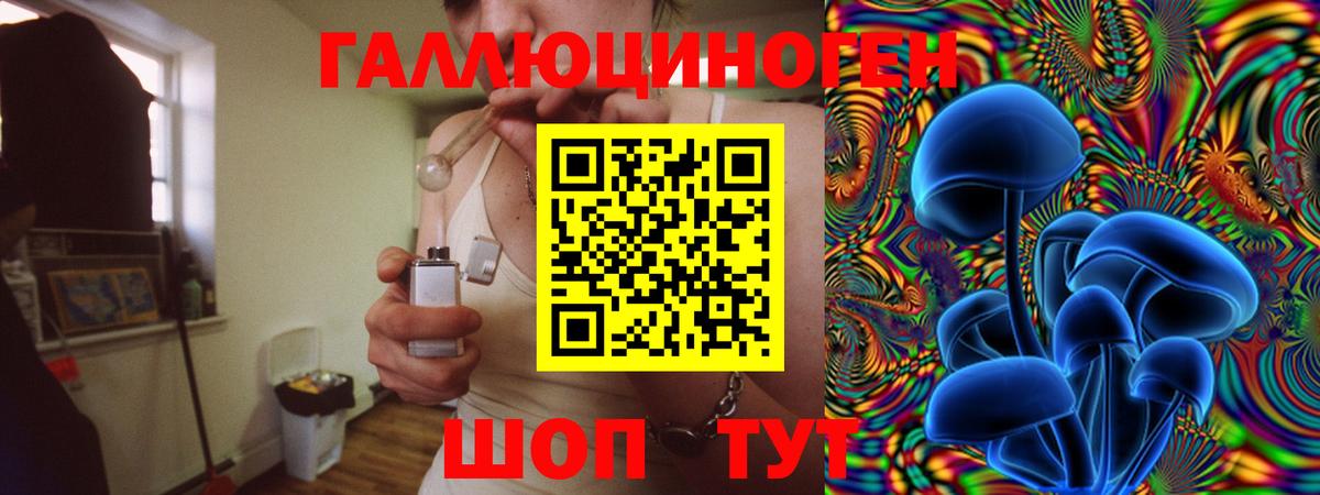Псилоцибиновые грибы Cubensis Сланцы